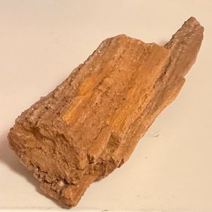 Crystallized Petrified Wood